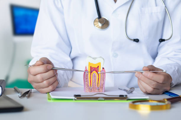 Best Emergency Root Canal Treatment in Huntley, IL